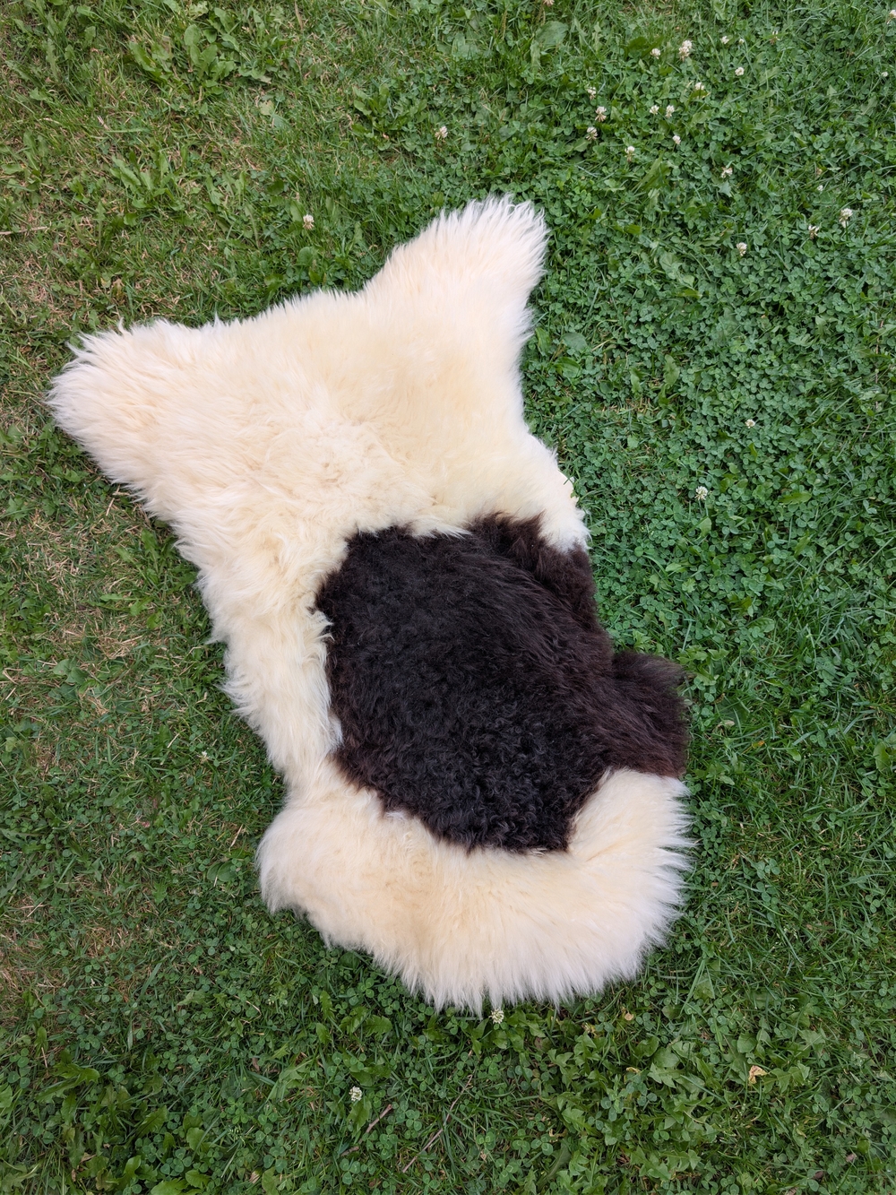 Two-Tone Genuine Sheepskin Cream and Dark Brown